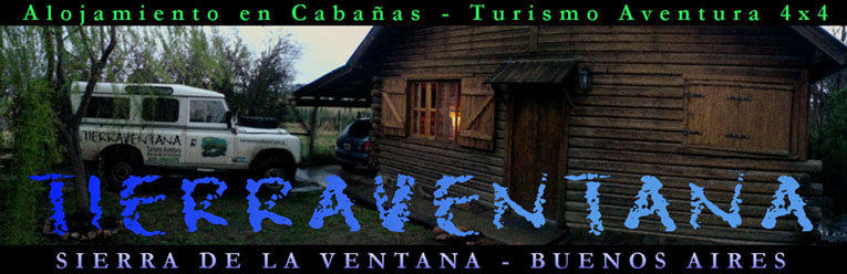 banner superior