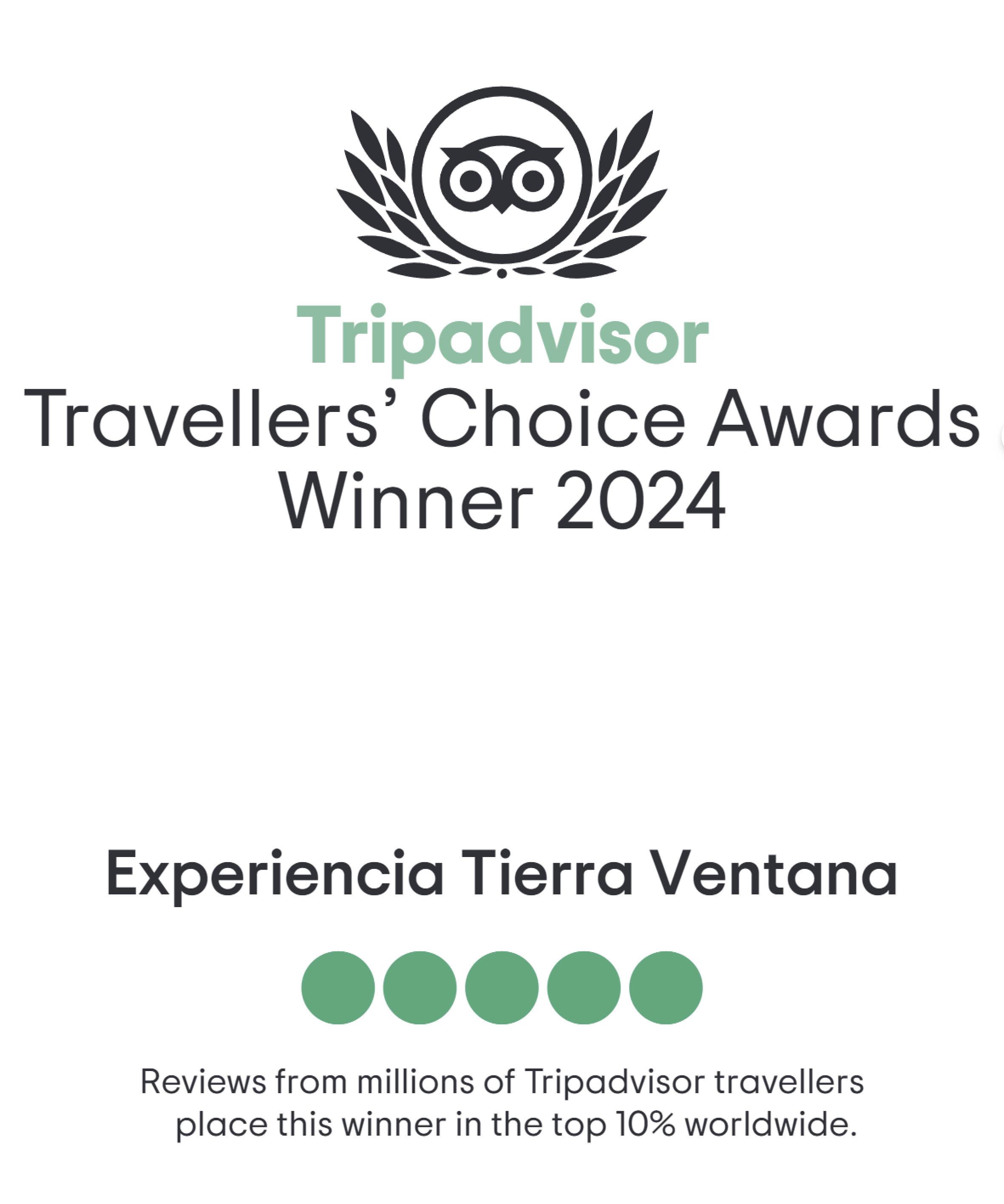 Tripadvisor Excellence